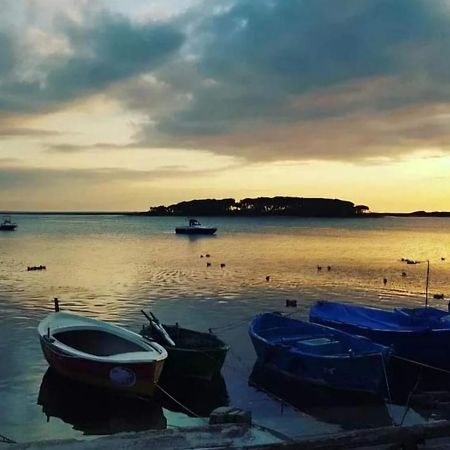 B&B Fior Di Mare Porto Cesareo Εξωτερικό φωτογραφία